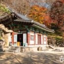 경주 여행 필수 코스! 경주 석굴암 주소, 주차요금, 관람시간 및 토함산 숲길 완벽 가이드