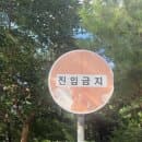 [2026 여의도 한강수영장 후기] 주차 태닝 먹거리 입장요금 파라솔 선배드 대여 폐장일