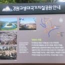 영월 가볼만한곳 한반도지형 주차장 요금 탐방로 뗏목체험 완벽 정리