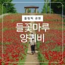 올림픽공원 들꽃마루 장미광장 피크닉 주차장요금