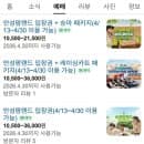 2026 안성팜랜드 호밀밭 유채꽃 축제 총정리｜입장료 할인, 주차, 체험 이용요금, 안성 가볼만한곳