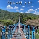 [강원원주여행] 소금산 그랜드밸리 케이블카 요금·주차 총정리｜출렁다리까지 다녀온 후기