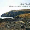 제주도 우도 배시간표 및 요금 정리: 성산항 주차부터 차량 승선 조건까지