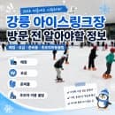 아이스링크장 방문 전 알아야 할 정보 | 매점ㆍ요금ㆍ준비물ㆍ단체방문ㆍ주차ㆍ운영시간ㆍ초보자 이용 꿀팁