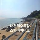 대천해수욕장 가볼만한곳 스카이바이크 요금 주차 후기