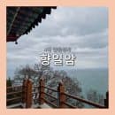 [여수 여행] 향일암｜주차 꿀팁, 요금, 소요시간, 관음성지