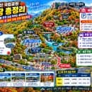 [내장산 국립공원 주차장 총정리] 내장사·백양사 코스별 주차 요금 아끼는 꿀팁부터 가을 단풍철 주말...