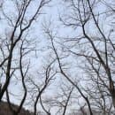 충남 여행지 공주 계룡산 국립공원 주차요금 및 동학사 트레킹 코스