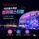 2026 속초 해수욕장 개장 및 야간개장 일정, 주차장 요금, 샤워장 편의시설 완벽 안내 총정리!