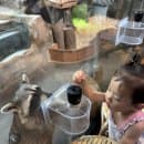 육아일기 ) 주렁주렁 동탄점. 주화모으기 팁!! 주차정보. 추가요금. 28개월아이랑 가볼만한 곳