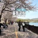 분당 율동공원 | 벚꽃 구경하기 좋은 성남 호수공원 (+ 주차요금)