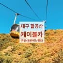 팔공산 케이블카 (요금/운행시간/할인/주차장) 동전바위, 플라잉메밀