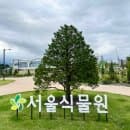 마곡 서울식물원 주차 서울식물원제2주차장 요금, 주차 꿀팁, 가는 길 정리