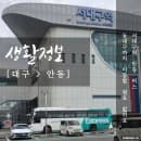 대구 안동 버스 대중교통 시외버스 타는 곳 주차장 요금 이용정보 총정리