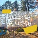 경기도 가평여행지 추천_아침고요수목원, 아침고요동물원_주차 요금 볼거리 총정리