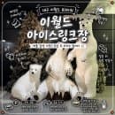 대구 이월드 83타워 아이스링크장 후기｜이용요금부터 주차·한강라면까지
