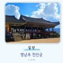 경남 밀양 가볼만한곳 영남루 주차장 요금 천진궁