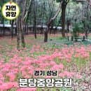 성남 갈만한곳 분당중앙공원 꽃무릇 주차요금