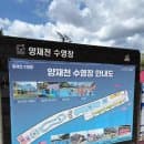 [서울 물놀이터] 양재천 수영장 아기랑 후기 (주차 / 야간 개장 / 요금)