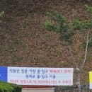 국립경주박물관 신라미술관 방문후기 주차장 요금 편의시설 관람시설 굿즈 안내 정리