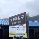 울진 여행 가볼만한 곳 이국적인 풍경이있는 성류굴(주차요금, 입장료, 포토존)