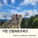 거창핫플 산림레포츠파크 트리탑전망대 주차, 이용시간, 이용요금