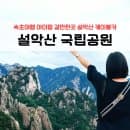 강원도 속초 가볼만한곳 설악산 국립공원 설악 케이블카 주차 요금 후기