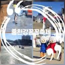 홍천강꽁꽁축제 주차 요금 편의시설 준비물 먹거리 총정리 얼음낚시 후기