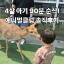 인천 실내동물원 애니멀클럽 송도점 주차·요금·먹이체험 총정리