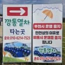 가볼만한곳 가족나들이 연인들 강원도 철원 꽃축제 요금 휴무일 야간개장 주차 인생샷성지 내돈내산후기