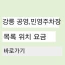 강릉 공영주차장 민영주차장 목록 요금 교통공사