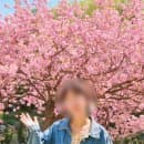 경기도 용인 겹벚꽃 명소 경희대 국제캠퍼스 장소 추천 및 주차요금