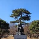 겨울 설악산 케이블카 예약없이 타는법 주차장 요금 총정리