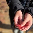 전북 진안 여행) 마이산 탑사 주차, 요금, 맛집