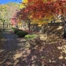 🍁 [남편과청도여행①] 단풍 절정, 가을여행지(주차, 시간, 요금) "운문사 &amp; 솔바람길"