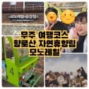 무주 가볼만한 곳 향로산 자연휴양림 모노레일, 요금 시간 탑승인원 주차 정보