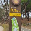 일산 벚꽃 명소 일산호수공원 벚꽃 1일 주차요금
