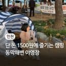 단 돈 1500원에 즐기는 캠핑 동막해변 야영장 주차 취사 이용요금