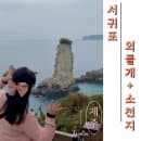 제주도 서귀포 가볼만한 곳 외돌개 주차요금 및 소요시간, 소천지 가는길