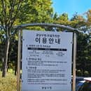 경기도 성남시 분당 잔디광장(분당구청앞)과 분당중앙공원 가을 아이와 산책 주차요금 산책코스추천