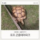 [포천] 주말 아이랑 가볼만한 곳 |포프곤충테마파크| 요금,주차 후기