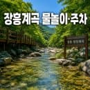 장흥계곡 물놀이 구간과 주차요금·준비물 총정리