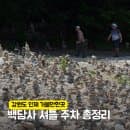 강원도 인제 백담사 셔틀버스 시간표 주차장 요금 계곡 산책 총정리