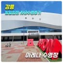 [강릉 일일입장 주말 자유수영] 아레나수영장(50m레인)_위치,주차,이용요금,할인정보,부대시설,후기