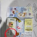 강원도 1월 겨울축제 추천 2026 홍천강 꽁꽁축제 생생 후기 (요금, 주차, 꿀팁 총정리)