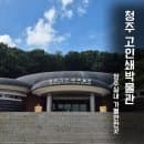 청주고인쇄박물관 주차 요금 미디어아트·전시실·흥덕사지까지 총정리