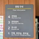수원 광교호수공원 벚꽃 만개 지금이야(벚꽃터널길, 주차요금)
