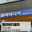 월미바다열차 주차·예매·요금 싹 다 정리! 부모님과 아이와 바다 모노레일 탄 솔직후기