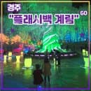 신상 몰입형 전시 <플래시백 계림> 추천 (feat. MD샵, 주차, 미디어아트, 실내데이트, 요금, 가족나들이)