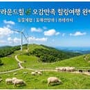 대관령 삼양목장(삼양라운드힐) 총정리: 입장료, 주차 요금, 동해전망대 동선 팁